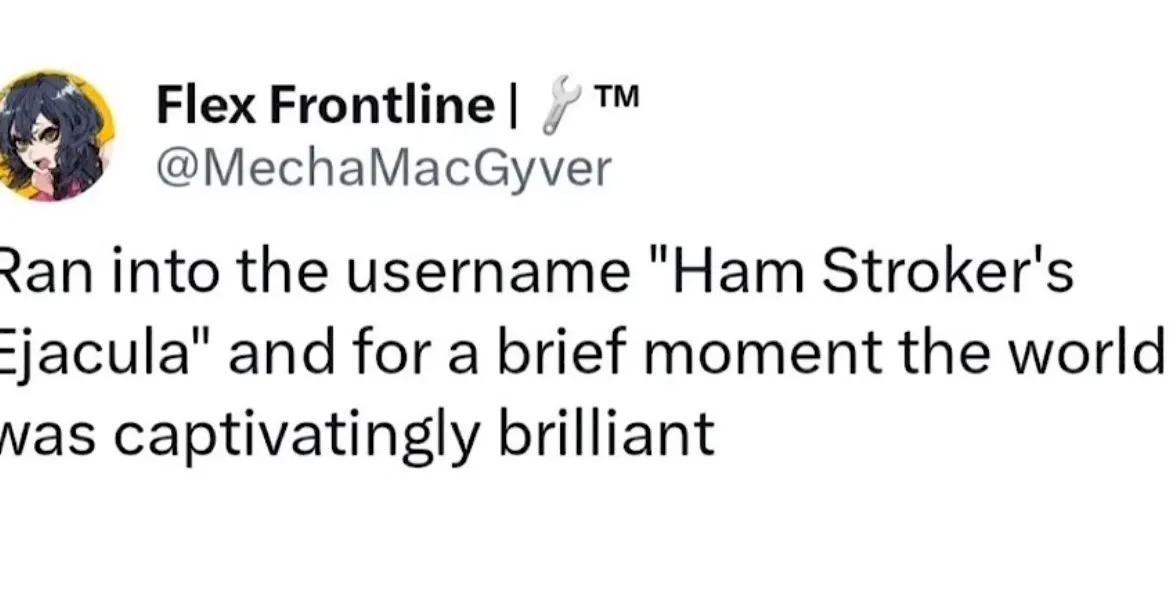 "ran into the username "Ham Stroker's Ejacula" and for a brief moment the world was captivatingly brilliant"