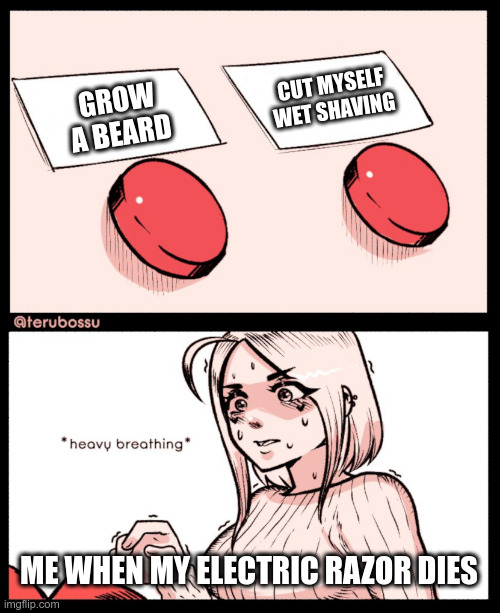 [Two buttons] Grow a beard; Cut myself wet shaving / [Woman] Me when my electric razor dies